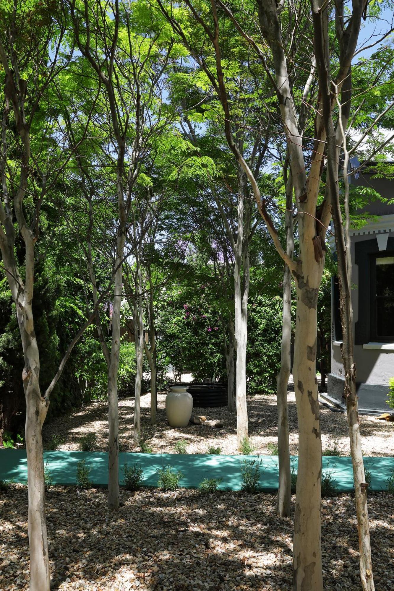 The Black House * Robertson